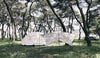 MINI HEXA TARP